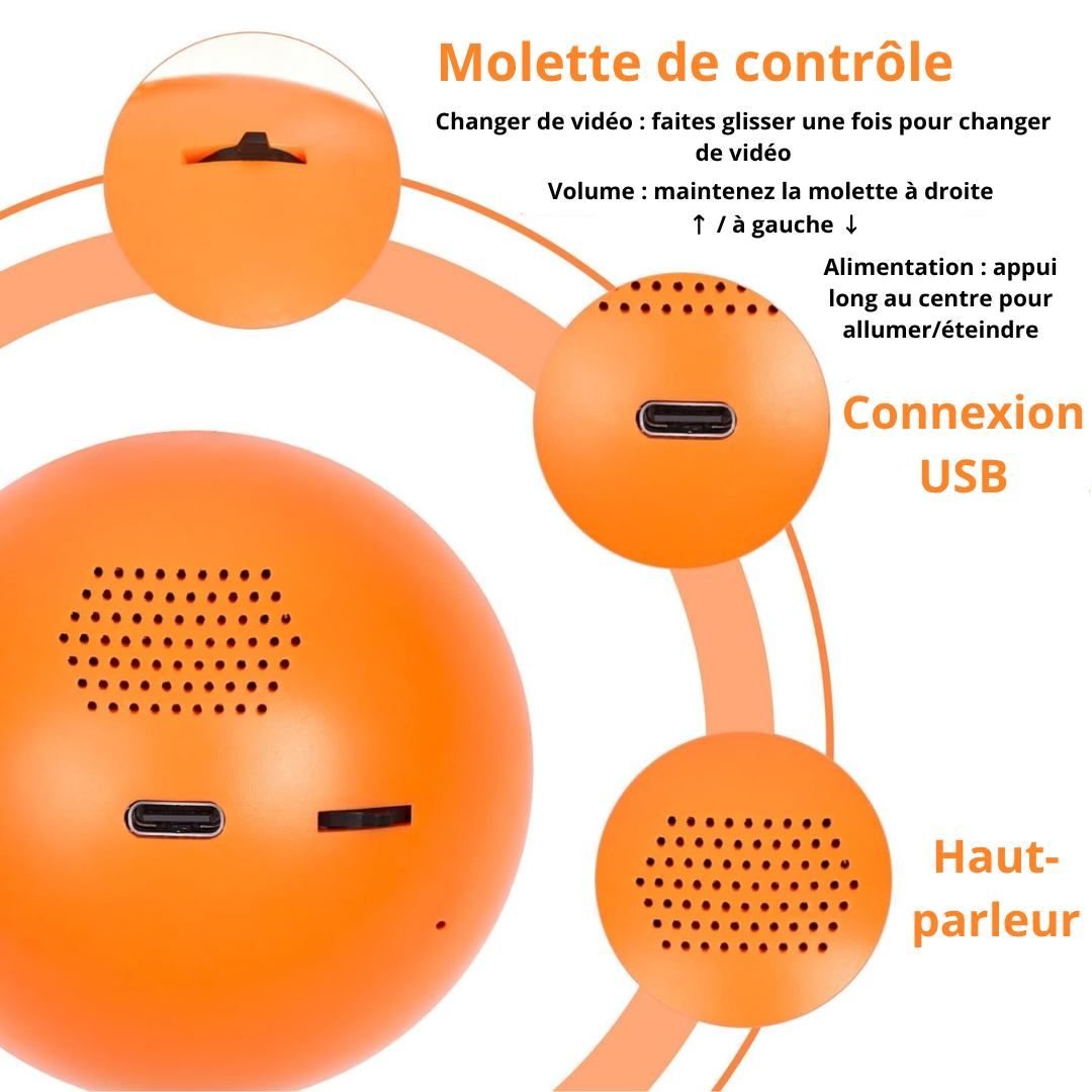 LumiMémoire : Orbe Vidéo Personnalisé (Enfants, Couples, Famille)